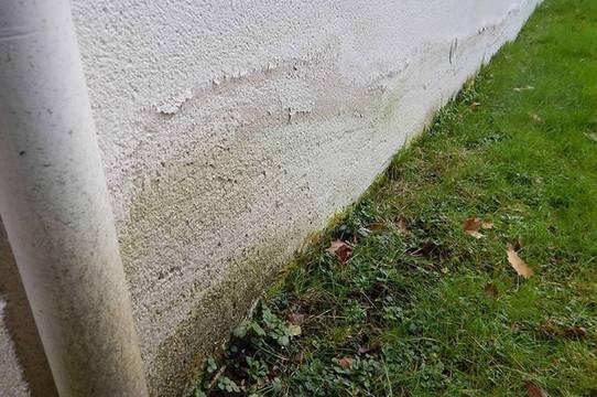 Mur en plâtre humide, enduit abimé par l'humidité solution à Quimper ? -  Entreprise pour traitement de l'humidité des murs - Axe Assèchement
